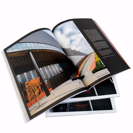 Good Service Self-Adhesive 20X20-40X40 Cable Tie Mount Base Self Adhesive Mounts with RoHS